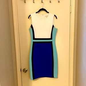 Calvin Klein Color Block Dress